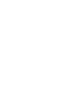 The-Picolo-Group-White-Transparent-Background-266x300